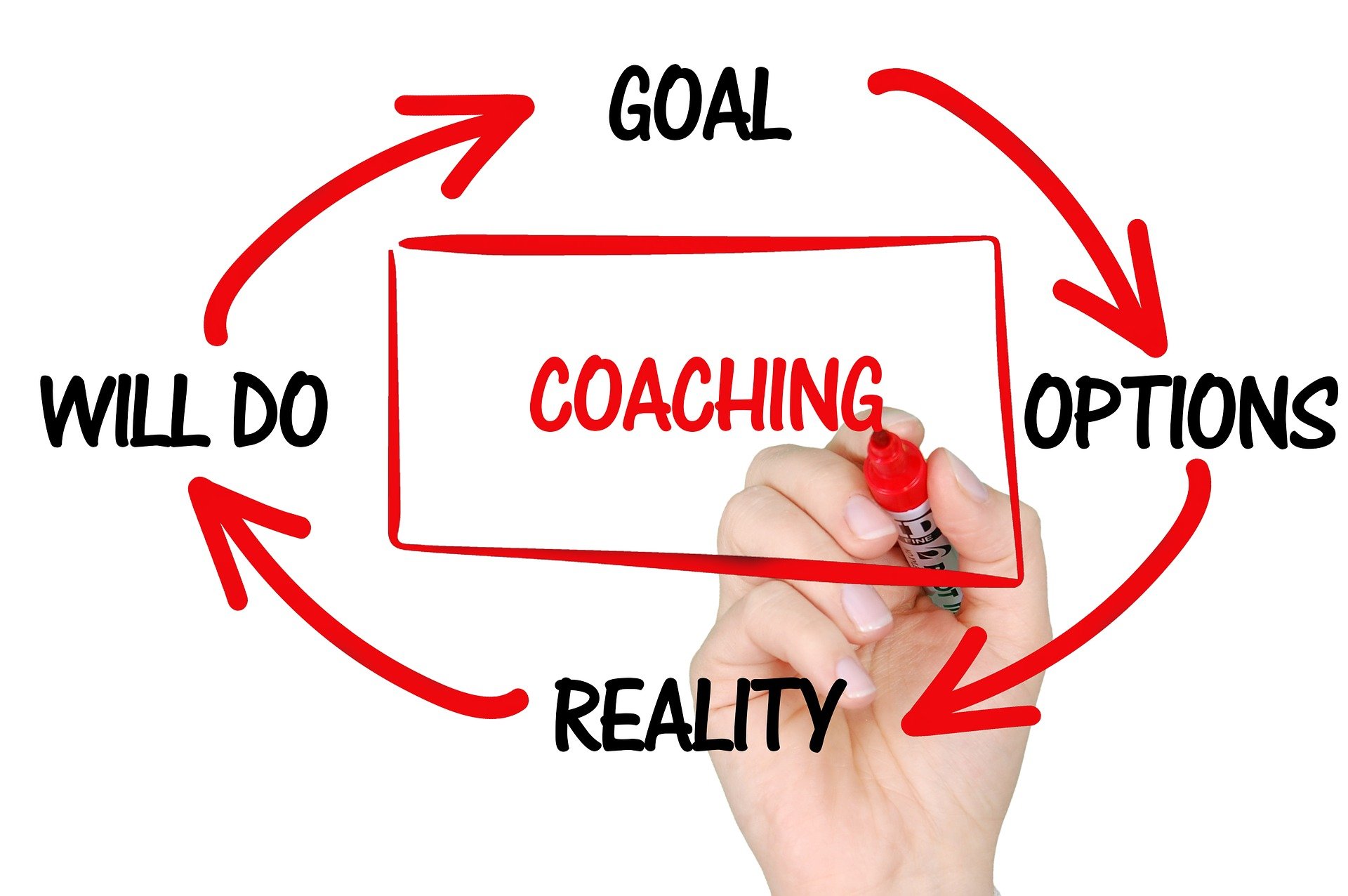 Webinar 4 inzichten in het trainerschap